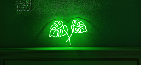 Monstera Leaf Neon Light, monstera neon sign, flowers neon sign – Ooh neon