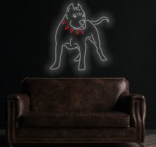 Load image into Gallery viewer, American Pitbull neon Sign, Decorating Ideas For Your Home, Lovely Friends Of The Animal Kingdom, Led Light Sign
