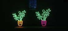 Load image into Gallery viewer, Money plant LED Neon Sign Oohneon.com
