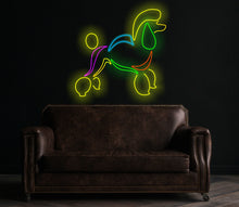 Load image into Gallery viewer, Poodle neon sign, dog led sign, pet shop decor led light, custom gift for pet lover, poodle wall decor
